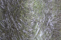 Plot Gate fibreglass roof work